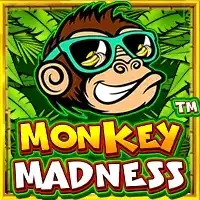 MONKEY MADNESS